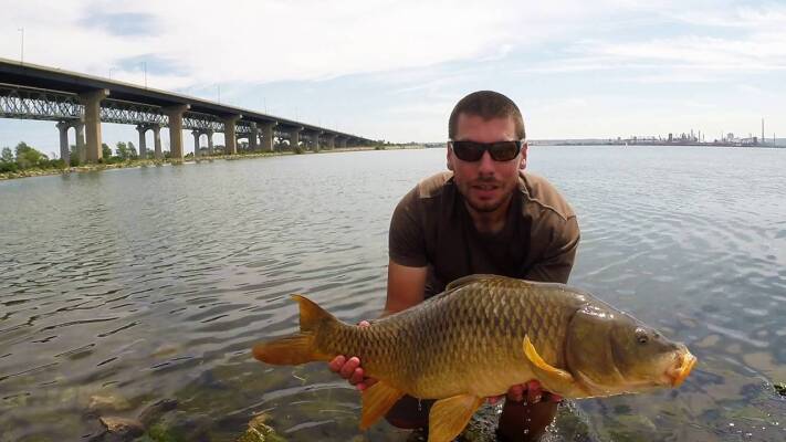 Carp Canada