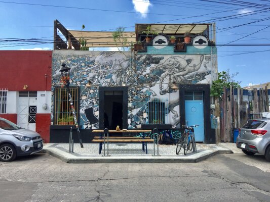 Col Americana Guadalajara