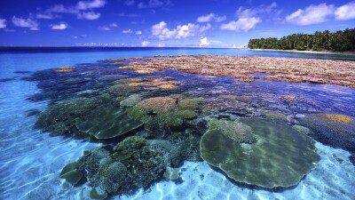 Coral Sea Australia