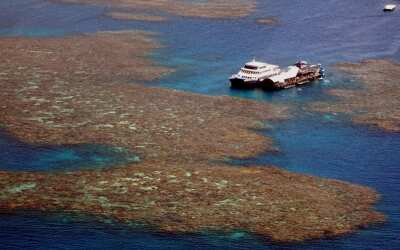 Coral Sea off the coast of North Queensland Australia