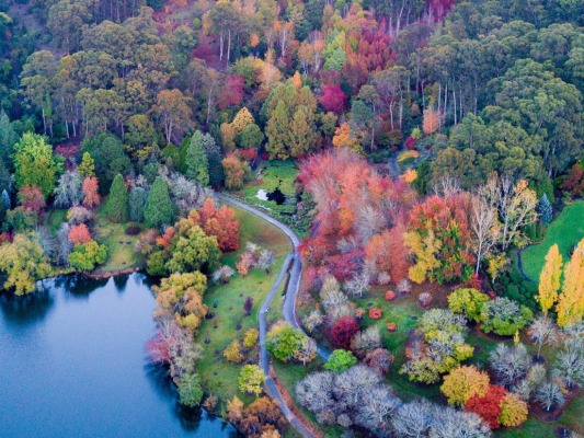 Crafers South Australia