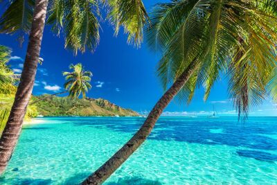 Moorea French Polynesia