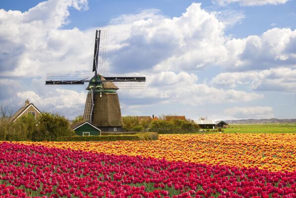 North Holland