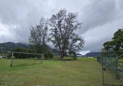 Roche Caiman, Victoria