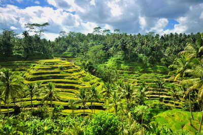 Ubud Indonesia
