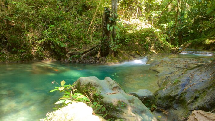 Westmoreland Jamaica