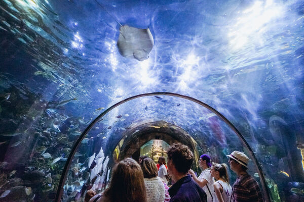 Audubon Aquarium of the Americas