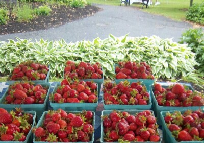 Ballston Spa Farmers' Market