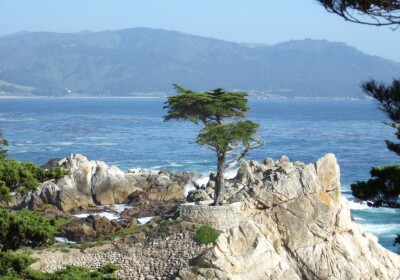 Carmel-by-the-Sea
