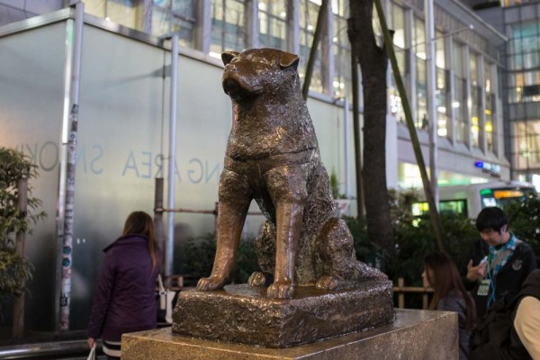Hachiko Statue
