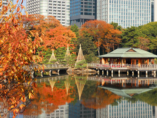 Hama Rikyu Gardens
