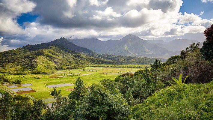 Hanalei Valley Lookout