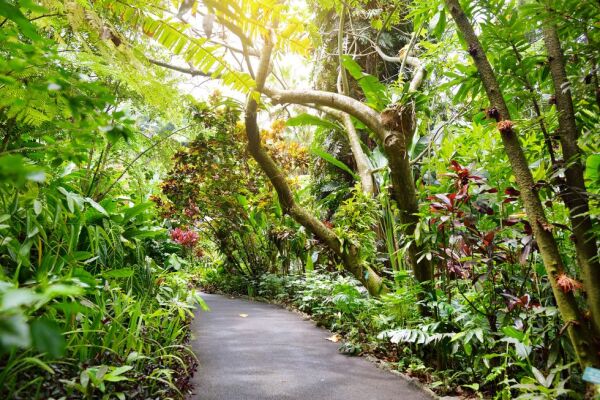Hawaii Tropical Botanical Garden