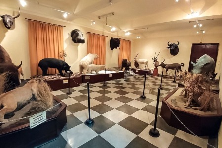 National Museum of Natural History