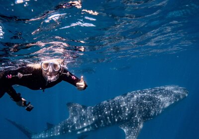 Ningaloo Whaleshark Swim