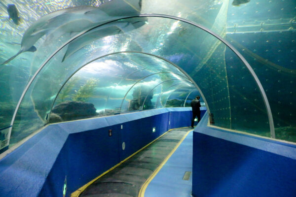 Qingdao Underwater World