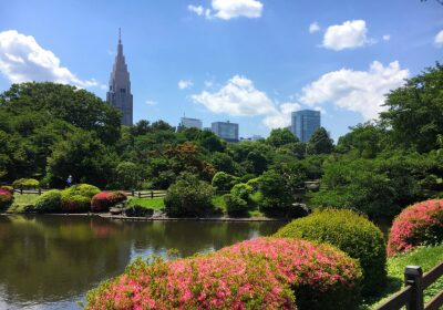 Shinjuku Gyoen National Garden