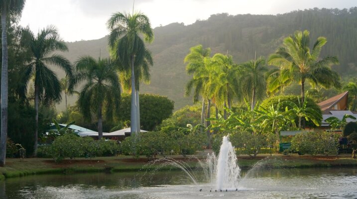 Smith's Tropical Paradise