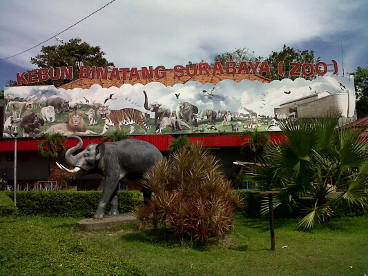Surabaya Zoo