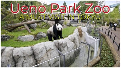 Ueno Park Zoo (Ueno Zoological Gardens)