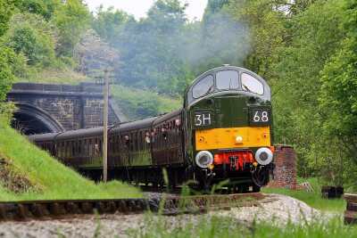 Amazing Train Experiences