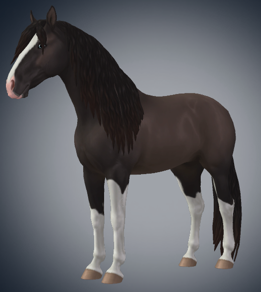 Andalusian-gen3-color17