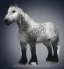 Brabant-gen3-color0