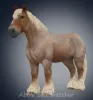 Brabant-gen3-color2