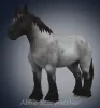 Brabant-gen3-color3