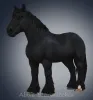 Brabant-gen3-color5