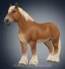 Brabant-gen3-color6