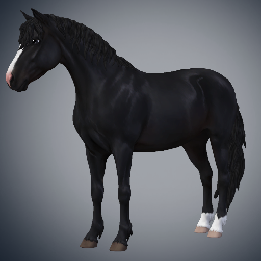 Connemara-gen3-color14