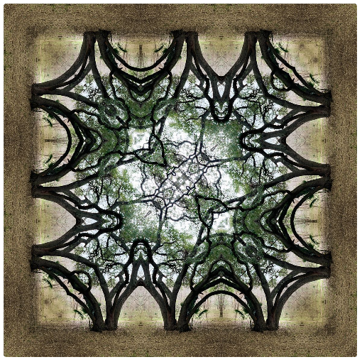 Tree Box