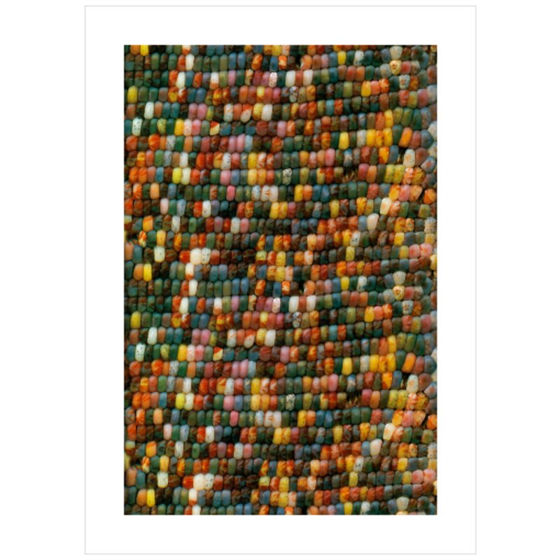 Corn Crib No.5