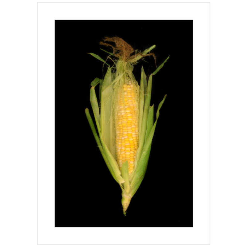 Corn Crib No.7