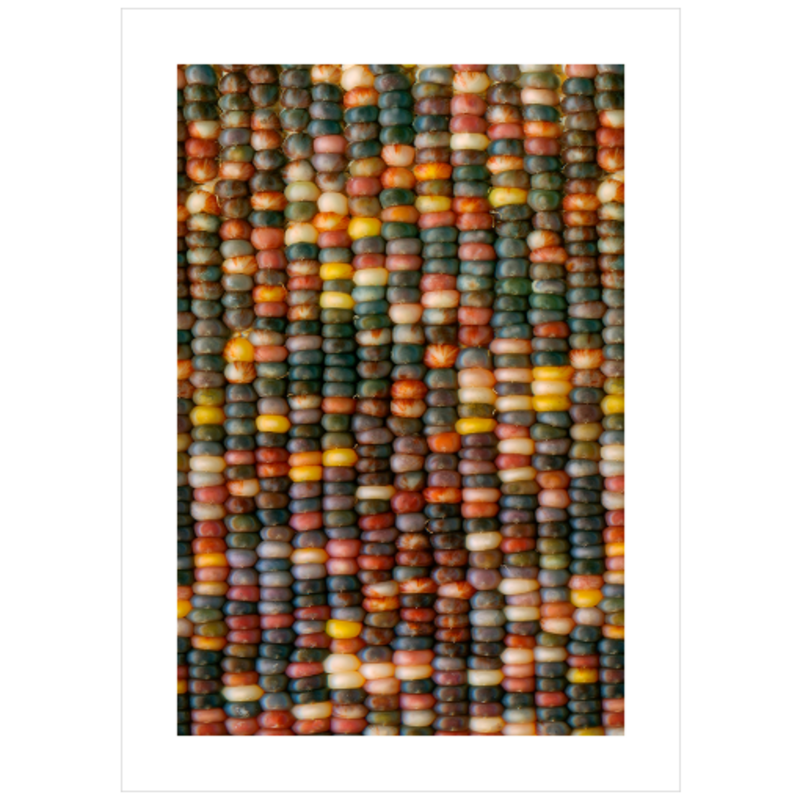 Corn Crib No.6