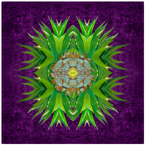 Dream Flower