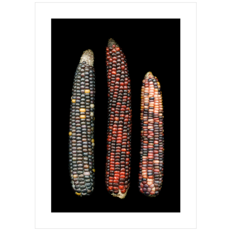 Corn Crib No.4