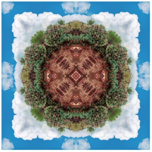 Cactus Planet