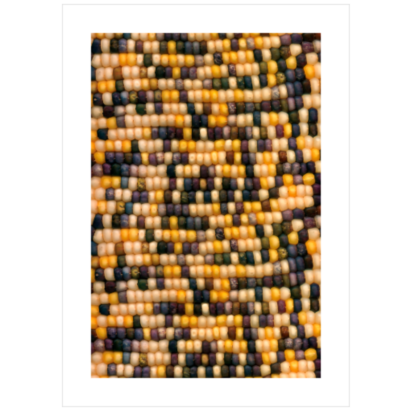 Corn Crib No.8