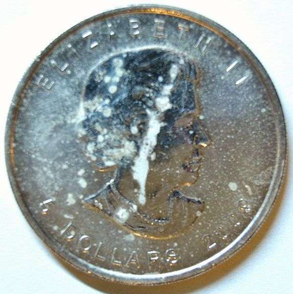 2009 Canadian Maple Leaf .9999 Silver Round