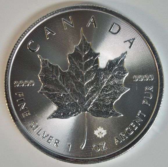 2019 Canadian Silver Maple Leaf 1 oz .9999 Fine Silver Pristine Superb Gem BU