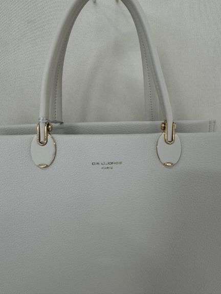 New Design Hand Bag by David Jones-Paris