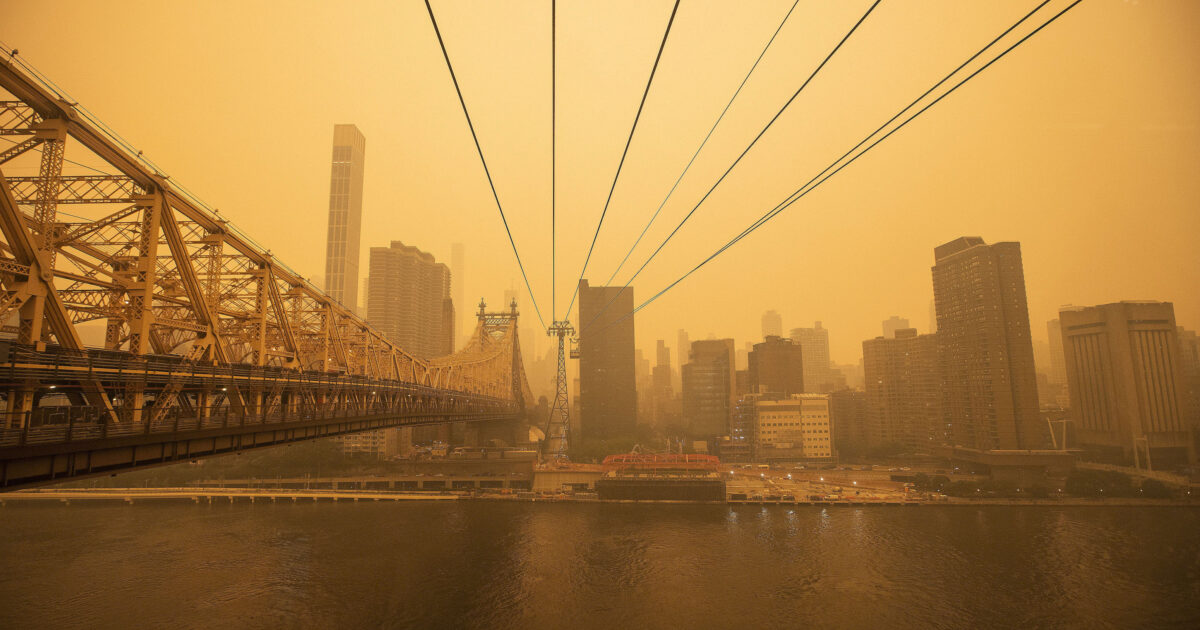 Workers Organize for Better Conditions After Air Quality Plummets - Vimarsana News