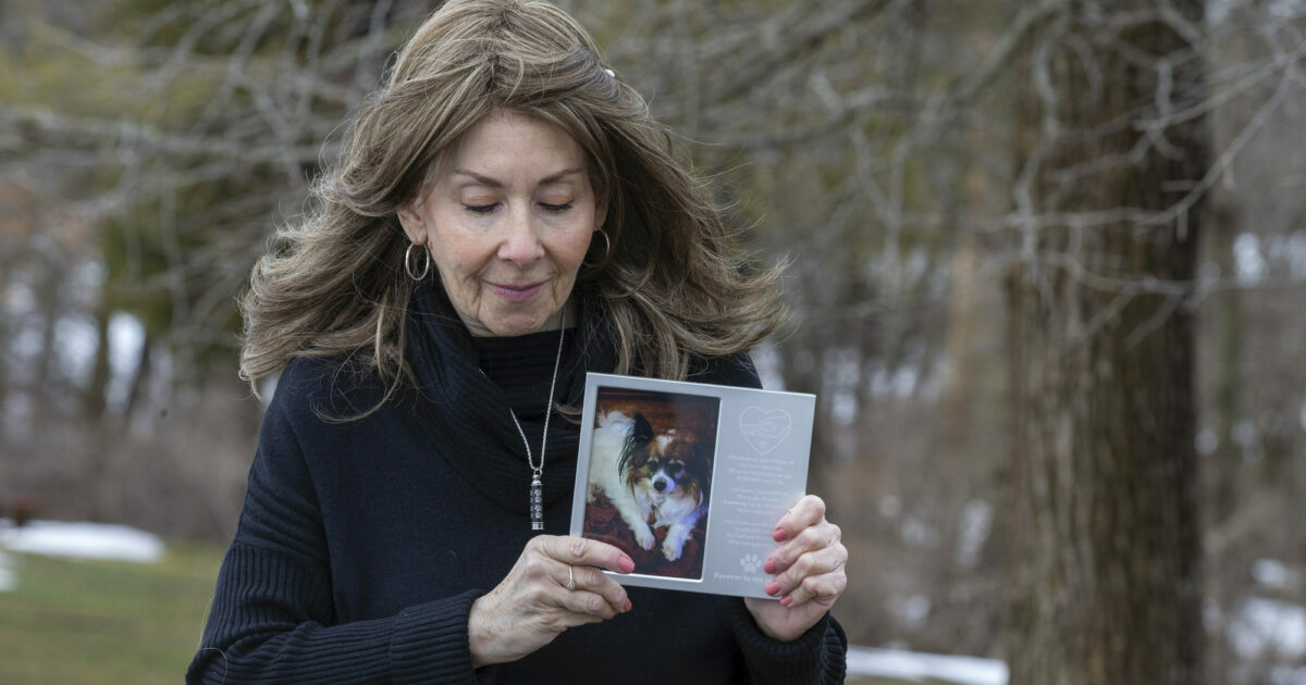 rural king flea collar