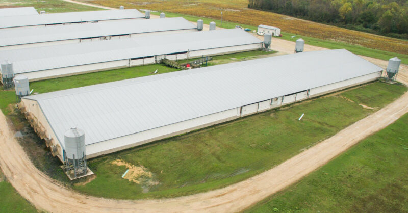 Construction Companies Are Exploiting Agricultural Visas to Underpay Workers. The Supreme Court Could Change That. - Vimarsana News