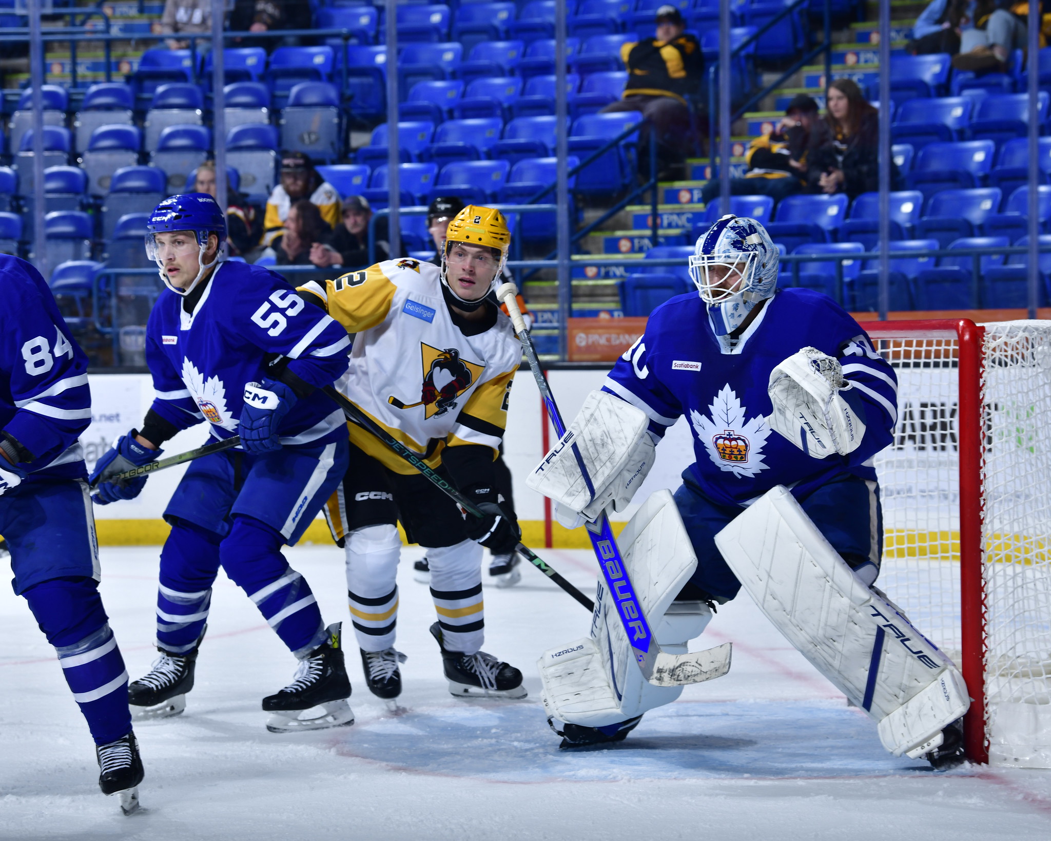 Game Story: Toronto - 3 at W-B/Scranton - 0 (12/18/24)