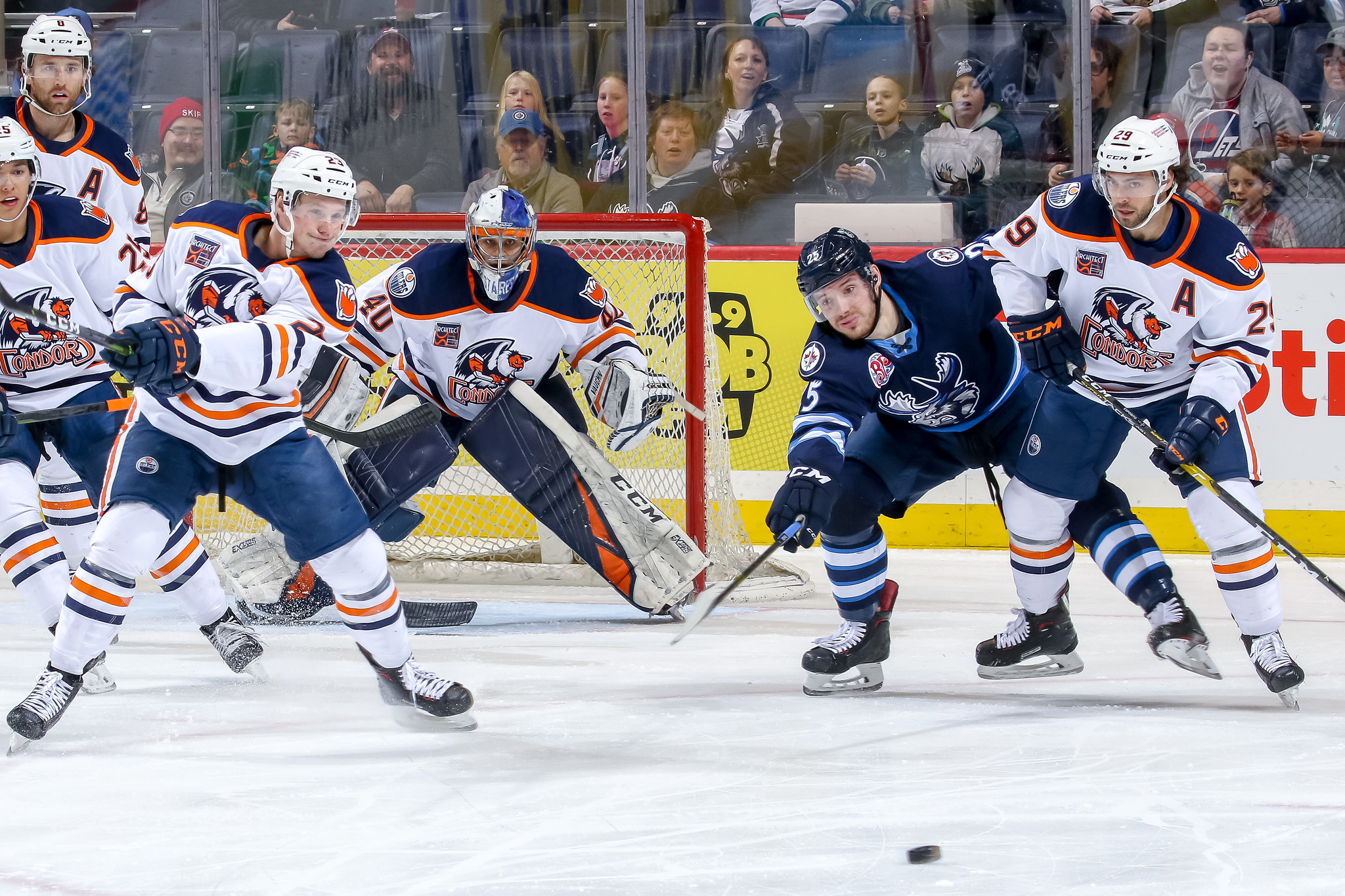 The Bakersfield Condors work to clear a puck from their defensive zone against the Manitoba Moose (from April 3, 2019).