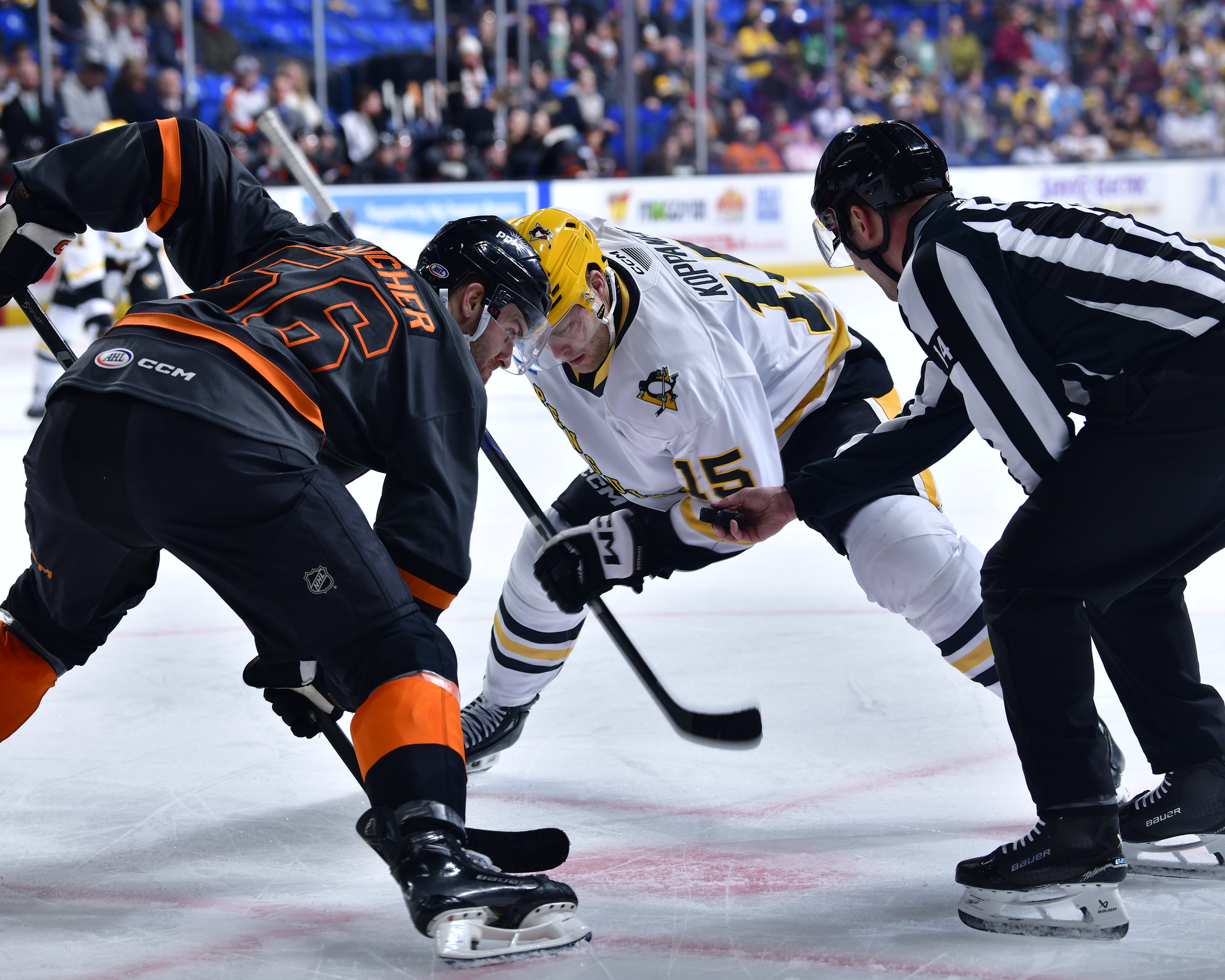 Photo courtesy KDP Studio