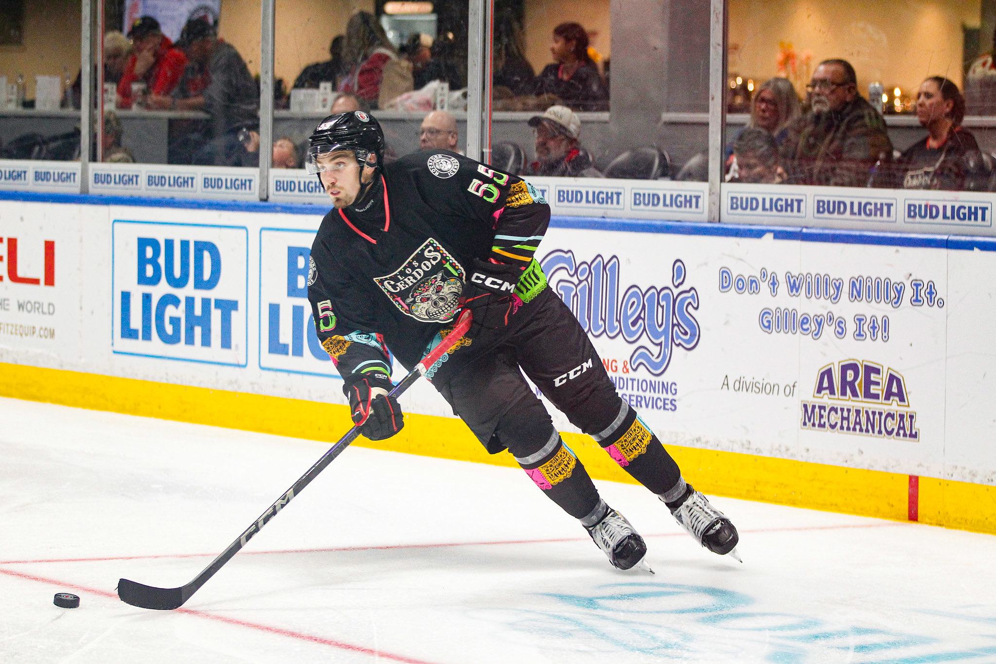 Photo courtesy Jenna Spanola/Rockford IceHogs